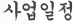 사업일정